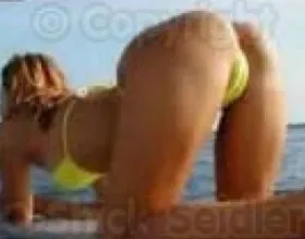 Camel toe song